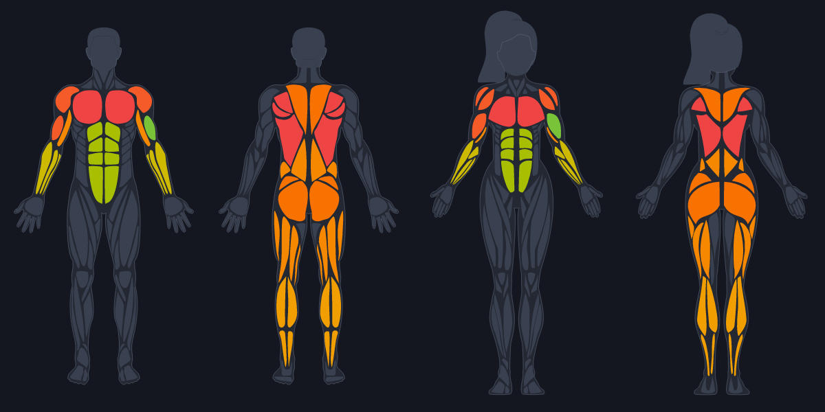Four body diagrams with muscles shaded from green through amber to red
